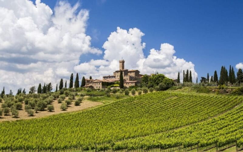 From Siena: San Gimignano, Chianti, and Montalcino Day Trip - FAQ