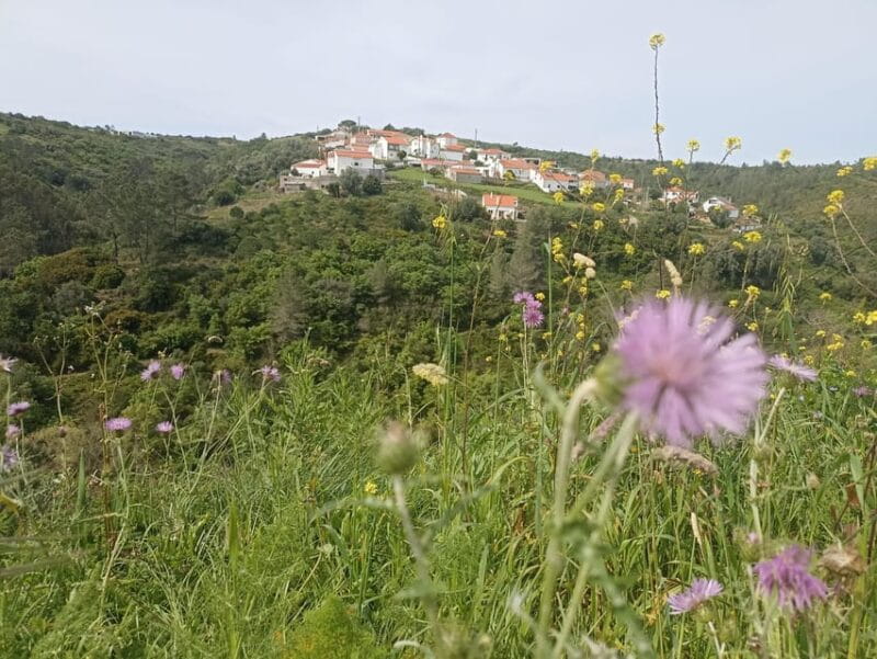 From Sintra, Mafra, or Ericeira: Hike and Wine Tour - Key Points / Takeaways