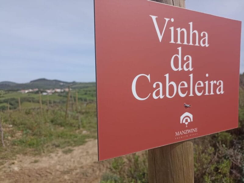 From Sintra, Mafra, or Ericeira: Hike and Wine Tour - The Sum Up: Why This Tour Stands Out