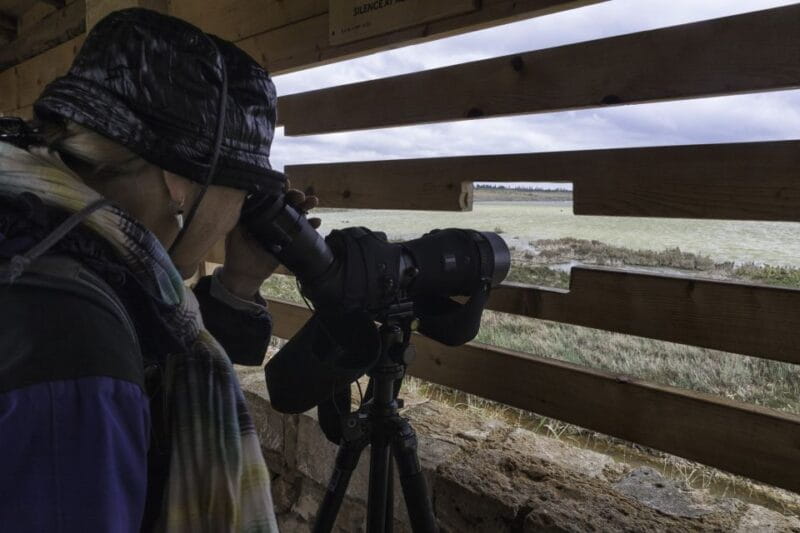From Siracusa: Vendicari Nature Reserve Guided Tour - Concluding Thoughts