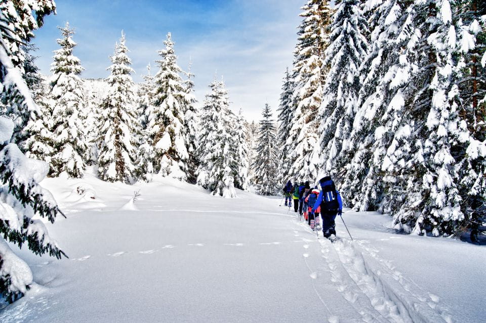From Sirkka: Levi Summit Guided Nature Snowshoeing Tour - Highlights of the Experience