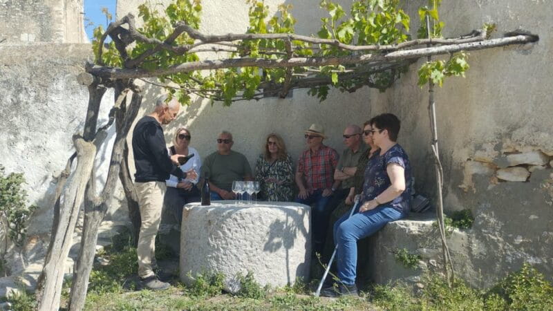 From Sitges: Wine Tasting at 2 Wineries, Snacks and Pickup - Who Will Love This Tour – And Who Might Hesitate?
