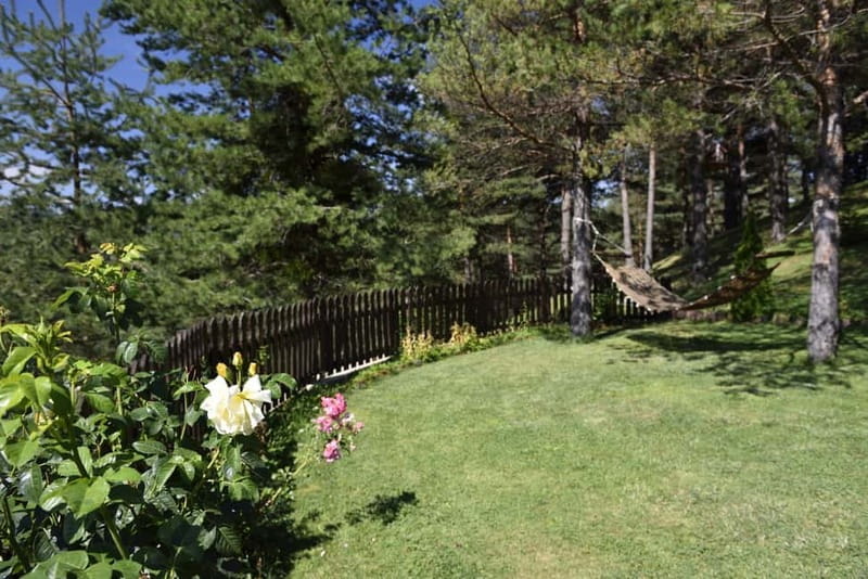 From Skopje: Berovo Full Day Tour and Hike - Experience in Detail: How the Day Unfolds