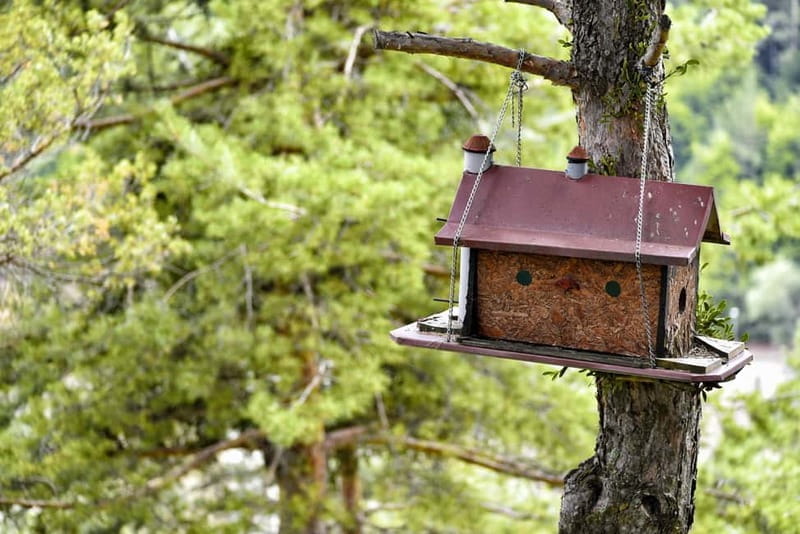 From Skopje: Berovo Full Day Tour and Hike - Price and Value: What Does It Cost?