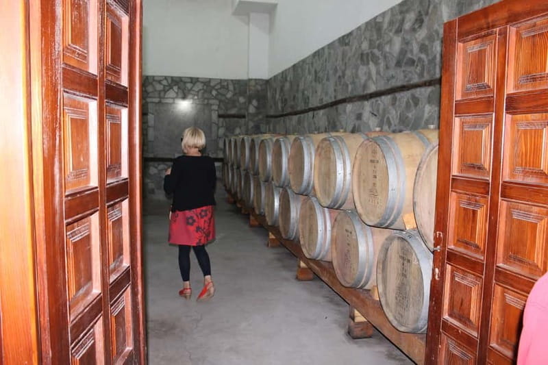 From Skopje: Private Full-Day Tour to Popova Kula Winery - Key points/Takeaways