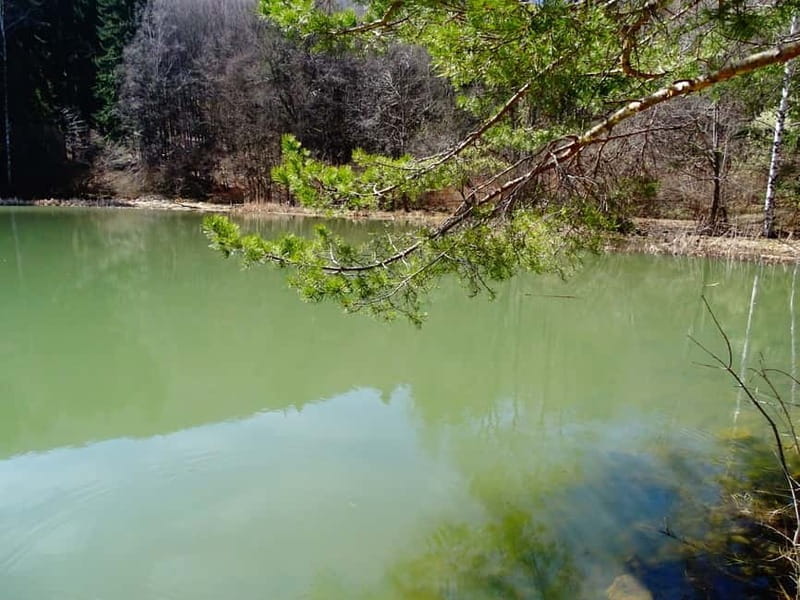 From Sofia: One-Day Tour of Vitosha Mountain - FAQ