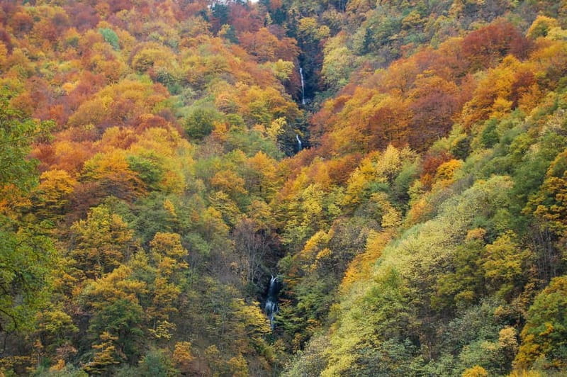 From Sofia: Rila Monastery & Optional Boyana Church Day Tour - The Experience: A Deep Dive into Bulgaria’s Cultural Gems