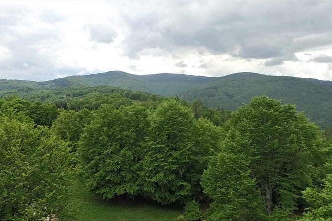 From Sofia: Serbia and Macedonia Trip - Final Thoughts: Is it Worth It?