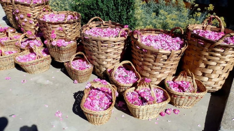 From Sofia: The Rose Valley & Buzludzha Monument 12 hrs Tour - Exploring the Historic Shipka Memorial Church
