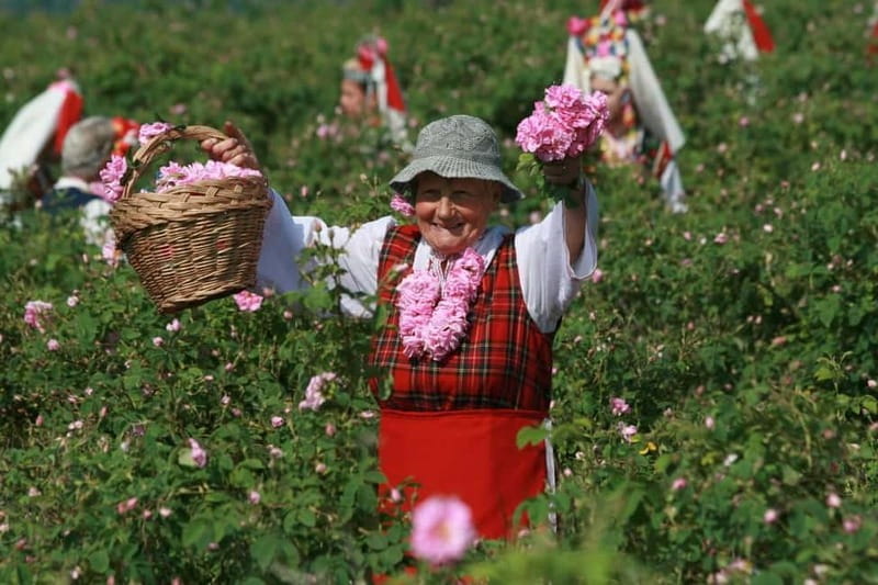 From Sofia: The Rose Valley & Koprivshtitsa 12 hrs Day Tour - Final Thoughts: Is It Worth It?