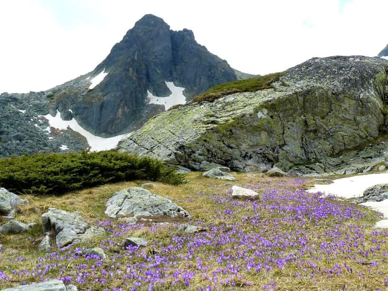 From Sofia: The Seven Rila Lakes Full-Day Self-Guided Tour - The Journey Begins: From Sofia to the Rila Mountains