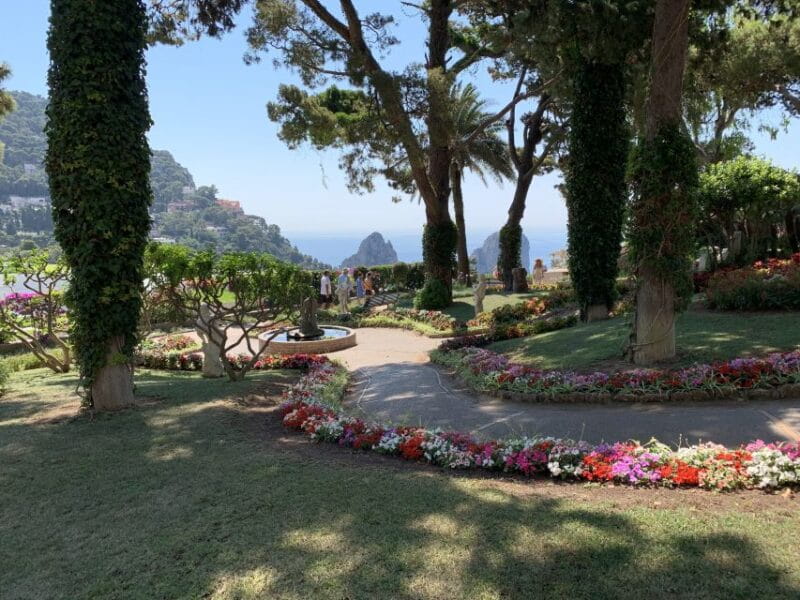 From Sorrento: Day Trip to Capri & Anacapri with Blue Grotto - Key Points / Takeaways