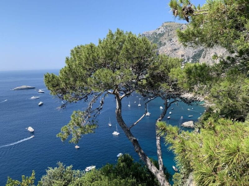 From Sorrento: Day Trip to Capri & Anacapri with Blue Grotto - The Itinerary — From Sorrento to the Highlights of Capri