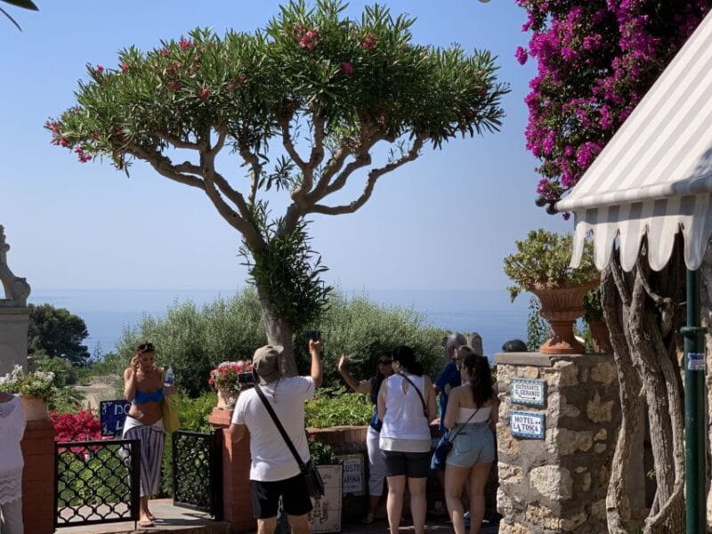 From Sorrento: Day Trip to Capri & Anacapri with Blue Grotto - Price and Value — Is It Worth It?