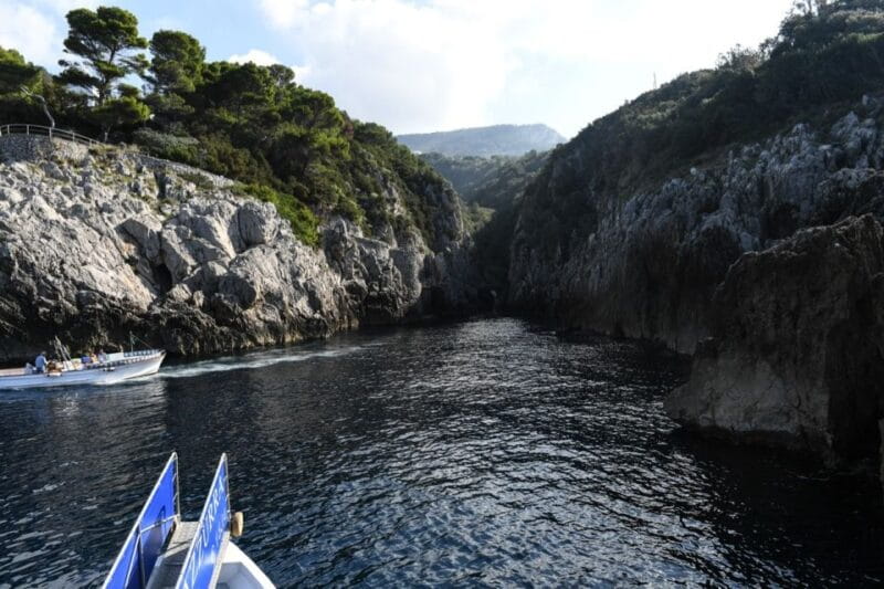 From Sorrento: Day Trip to Capri with Blue Grotto - Practical Tips for Your Trip