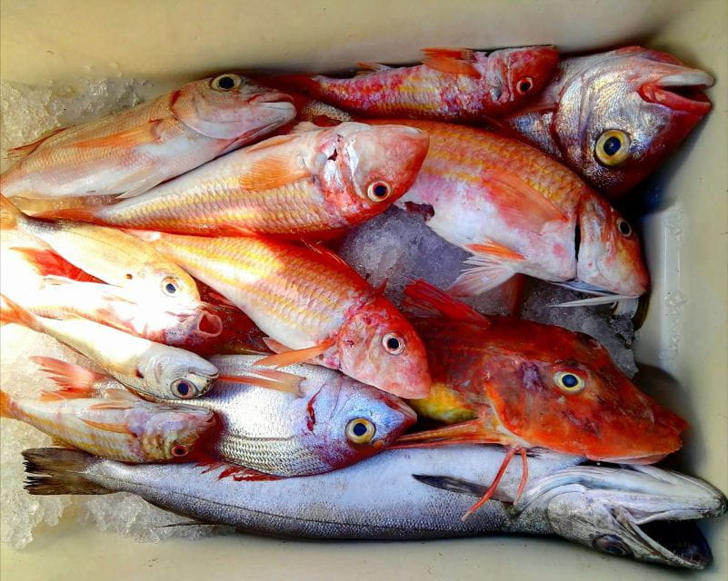 From Sorrento: Fishing in Capri with Lunch - Who Will Love This Tour?