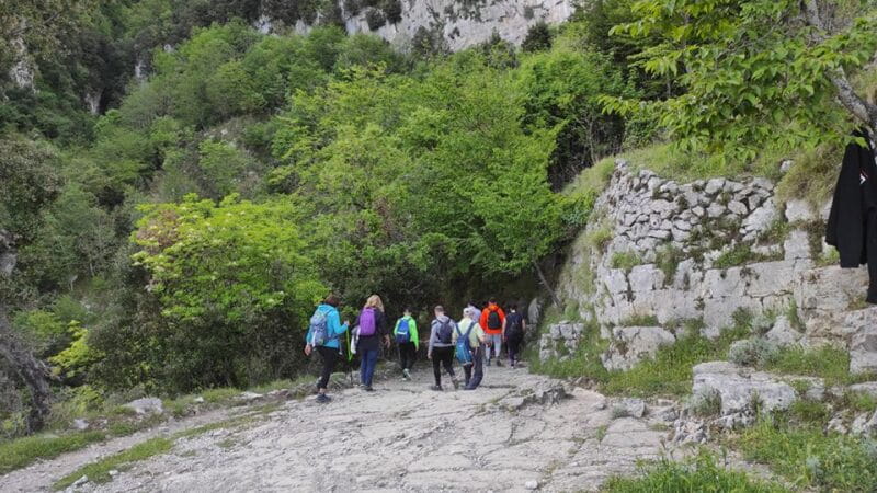 From Sorrento: Path of the Gods Hike with Tasting Stop - Who Should Consider This Tour?