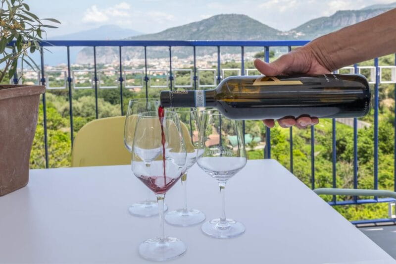 From Sorrento: Pizza-Making Class w/ View of Mount Vesuvius - Price and Practical Considerations