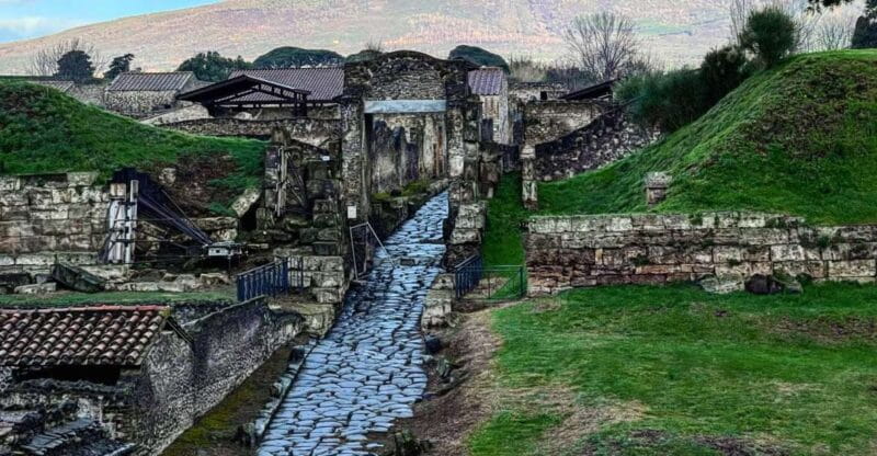 From Sorrento: Pompeii and Vesuvius Skip-the-Line Tour - Logistics and Comfort: What’s Included and What Isn’t