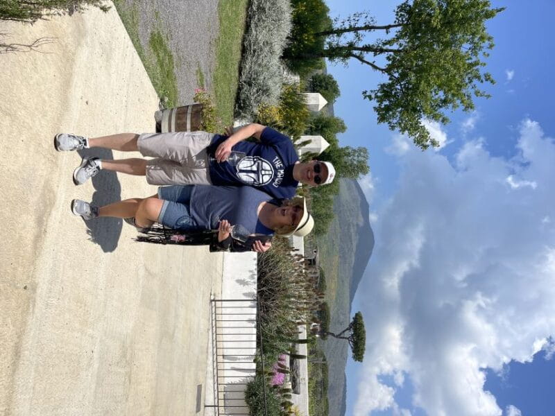 From Sorrento: Pompeii & Wine Tasting Private Tour by car - The Sum Up: Who This Tour Is For