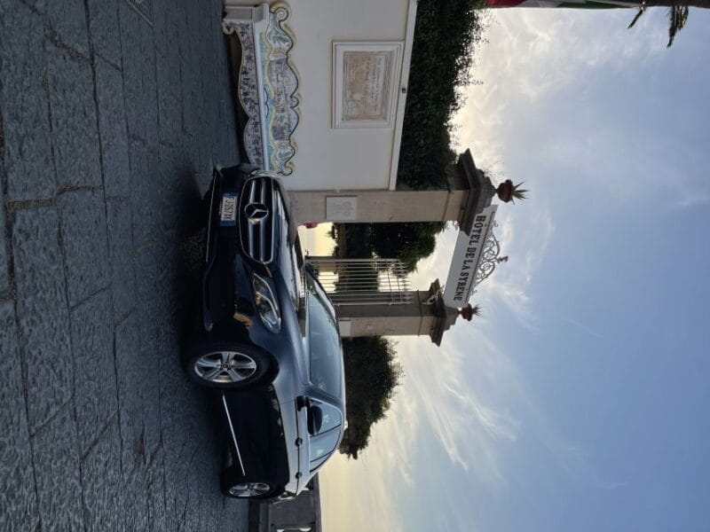 From Sorrento: Pompeii & Wine Tasting Private Tour by car - FAQ