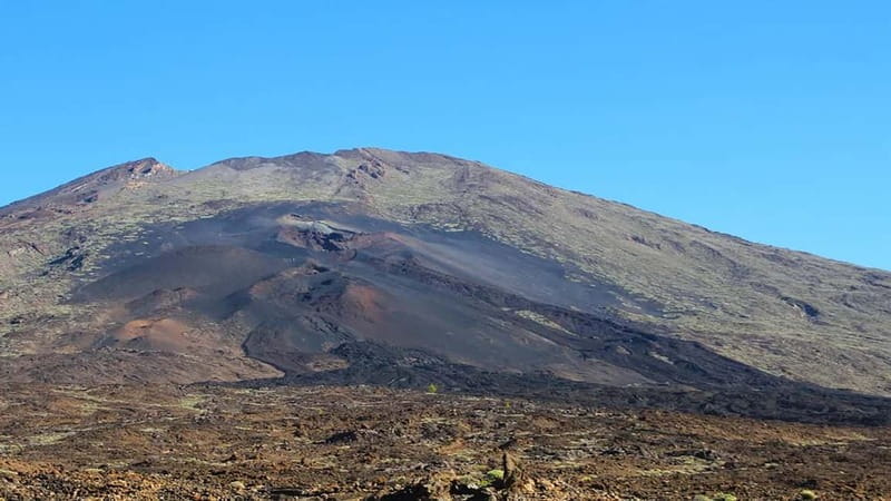 From South Tenerife: Half-Day Tour to Mount Teide - Why This Tour Stands Out