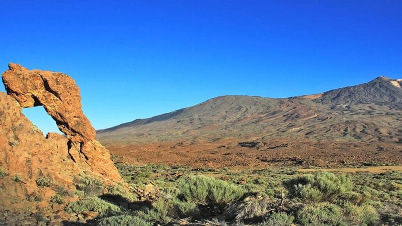 From South Tenerife: Half-Day Tour to Mount Teide - Final Thoughts: Is This the Right Tour for You?