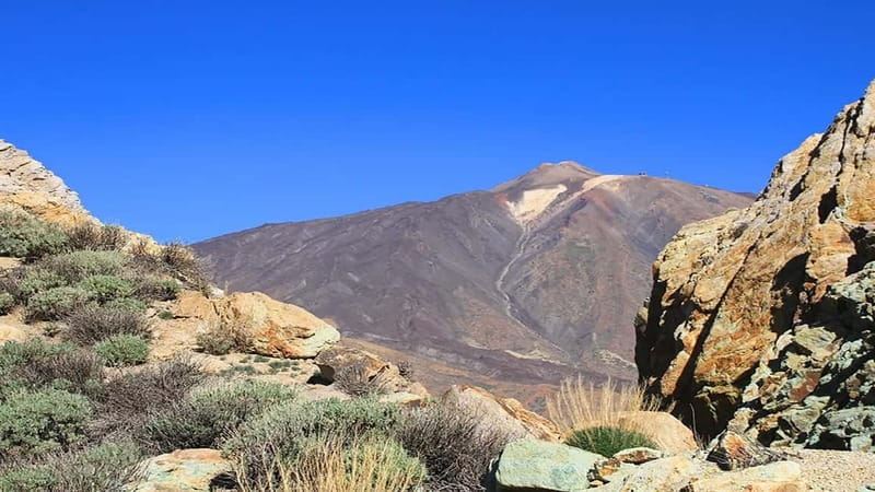 From South Tenerife: Half-Day Tour to Mount Teide - Frequently Asked Questions