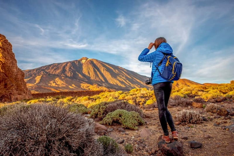 From South Tenerife: Mount Teide Hiking Day Trip & Cable Car - Key points / Takeaways