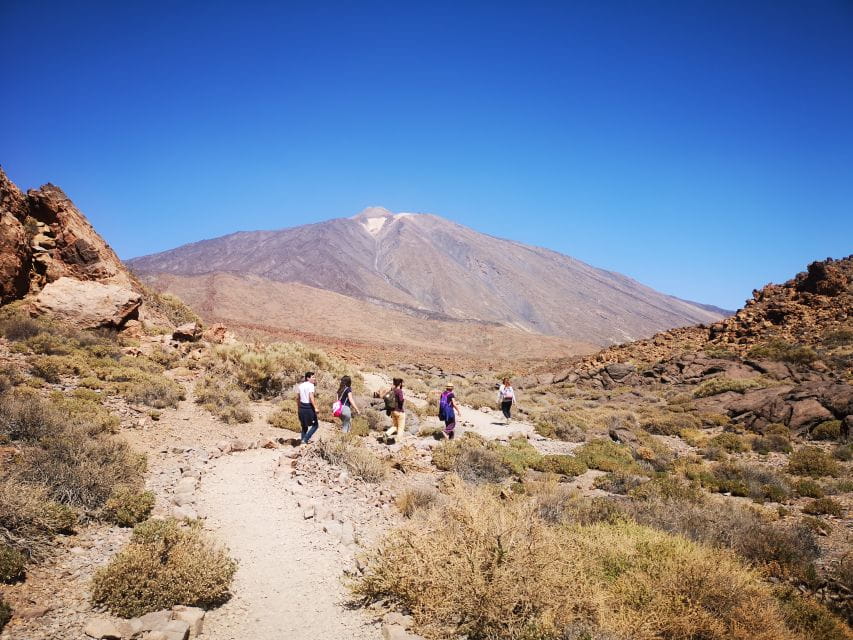 From South Tenerife: Teide National Park Tour - Pickup and Group Details