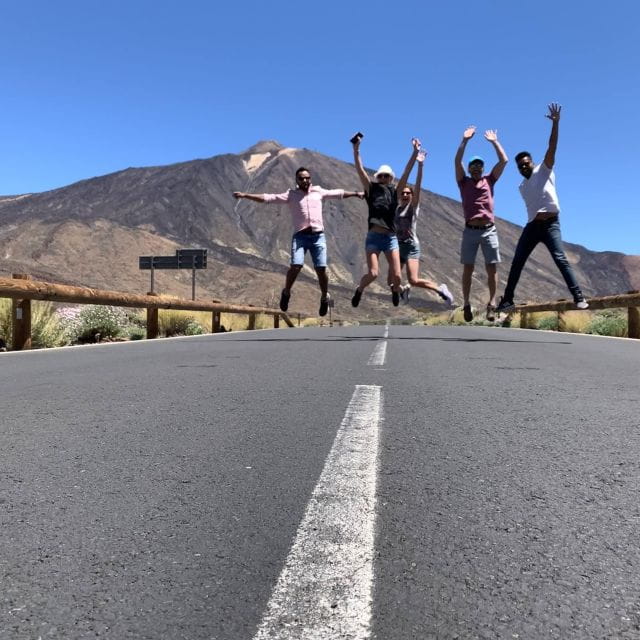 From South Tenerife: Teide National Park Tour - Itinerary Highlights