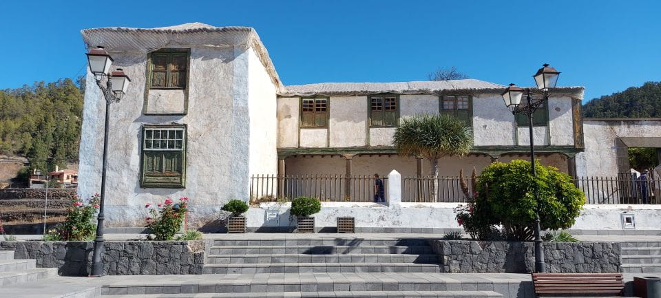 From South Tenerife: Teide National Park Tour - Walk Through Pine Forest