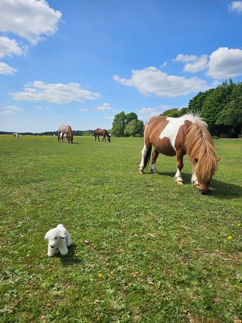 From Southampton: New Forest and Salisbury Private Tour - The Charm of the New Forest
