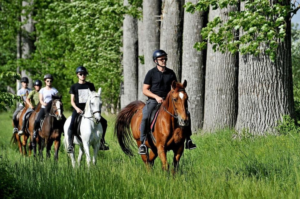 From Split: All-Inclusive Horse Riding and Jeep Exploration - Dining and Refreshments