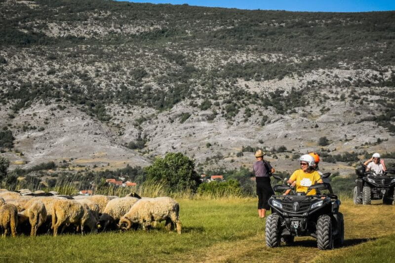 From Split: ATV Dinara Mountain Tour with Picnic - The Picnic and Honey Tasting: A Taste of Dalmatia