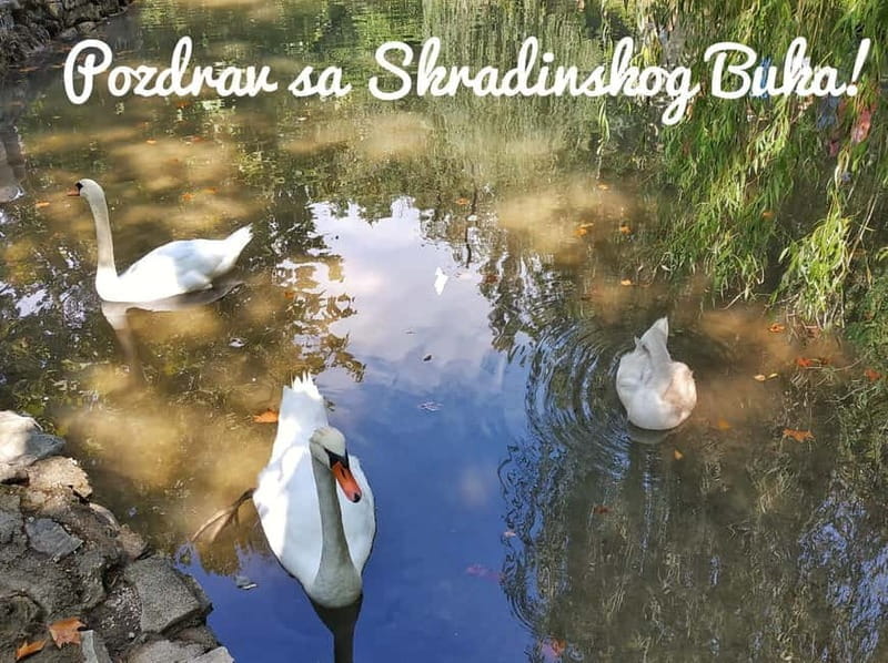 From Split: Krka Waterfalls Guided Tour & Ticket Discount - From Waterfalls to Skradin: Charming Town and Beach Time