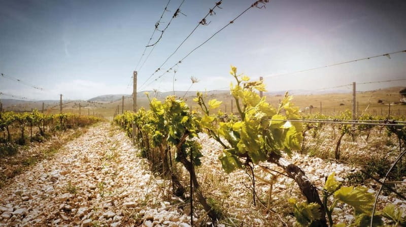 From Split: Krka Waterfalls, Primoten, and Winery Day Trip - Final Thoughts: An Authentic Dalmatian Day