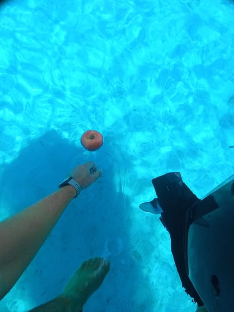 From Split or Trogir: Private speedboat tour to Blue Lagoon - FAQ