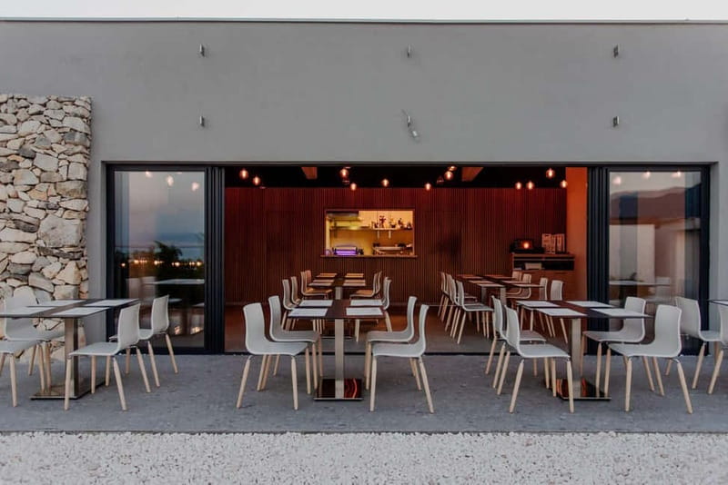 From Split: Vineyard Tour with Wine Tasting - Key Points / Takeaways