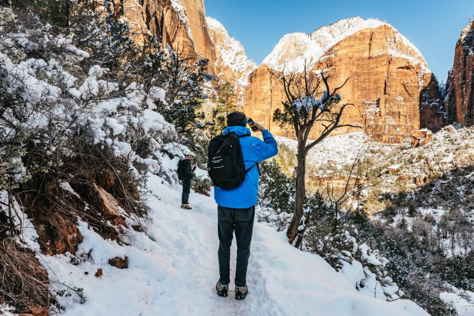 From Springdale: 4-hour Zion Canyon Scenic Hiking Tour - Geology of Southern Utah