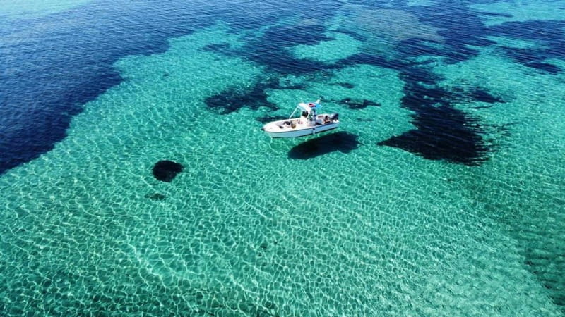 From Stintino: boat trip to Asinara - Key points / Takeaways