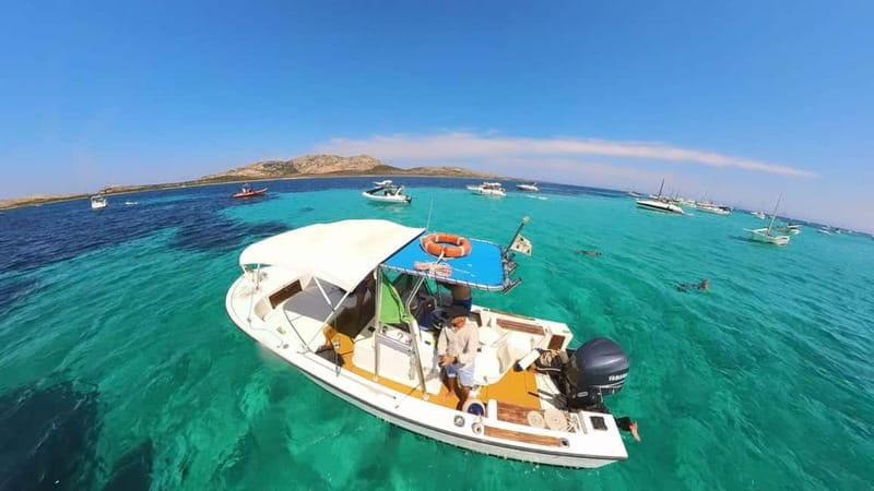 From Stintino: boat trip to Asinara - What’s Included and What to Bring