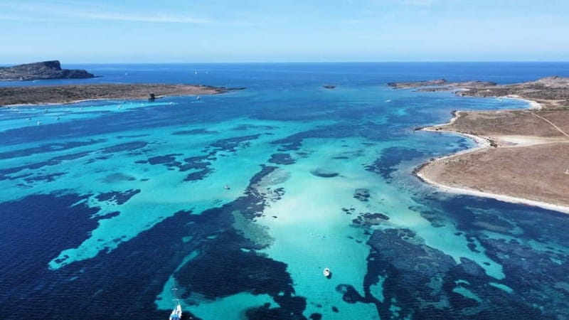 From Stintino: boat trip to Asinara - The Wilderness and Water: Why It Matters