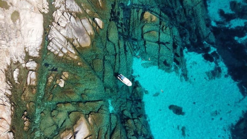 From Stintino: boat trip to Asinara - Who Will Love This Tour?