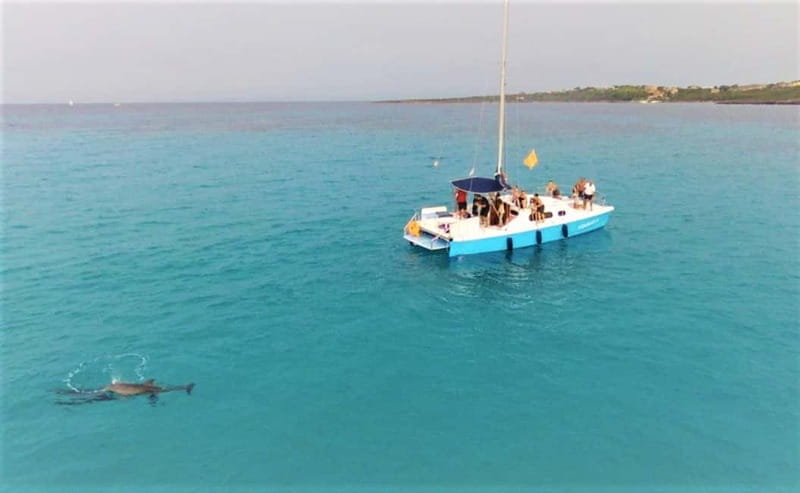 From Stintino: catamaran trip in the Gulf of Asinara - Key points / Takeaways