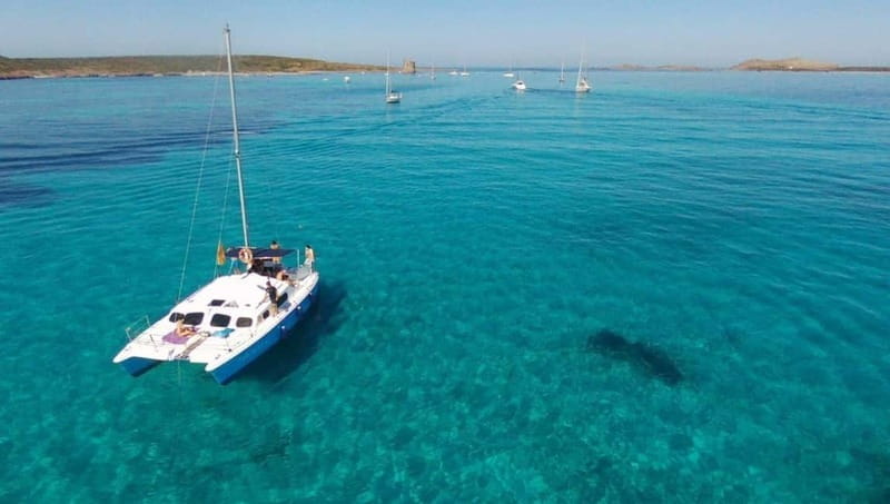 From Stintino: catamaran trip in the Gulf of Asinara - The Land Stop: Exploring Asinara Island
