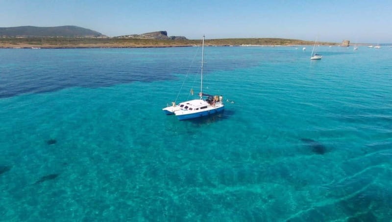 From Stintino: catamaran trip in the Gulf of Asinara - Price and Logistics