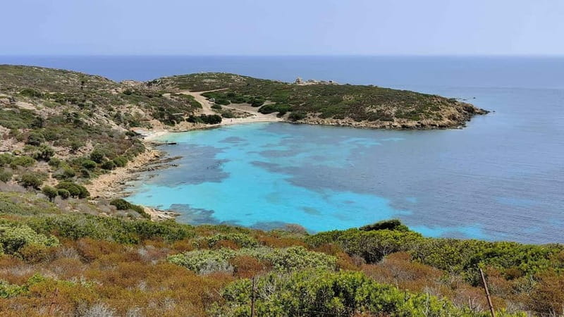 From Stintino: Day trip by minibus in Asinara National Park - FAQ