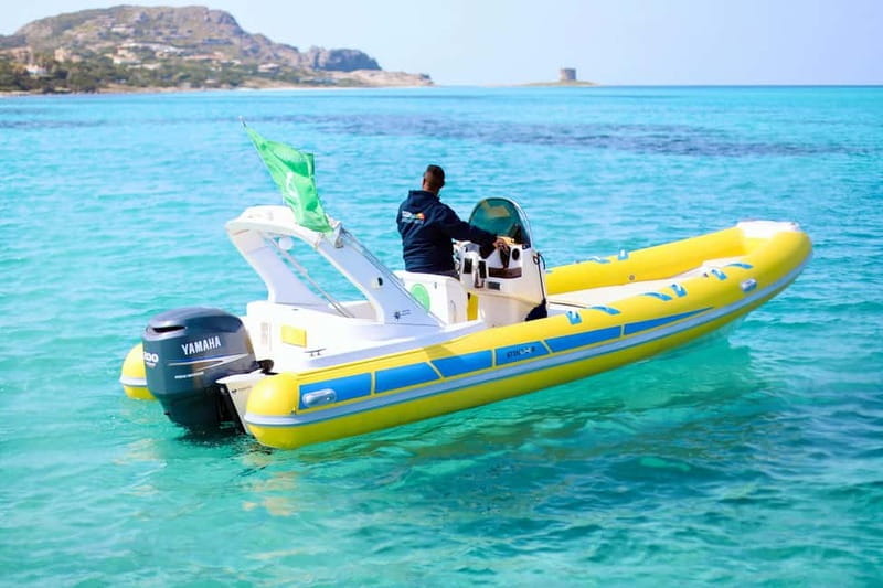 From Stintino: dinghy tour to Asinara with aperitif - Key Points / Takeaways