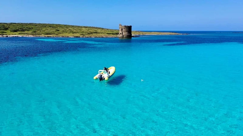 From Stintino: dinghy tour to Asinara with aperitif - Price, Value, and Practical Tips